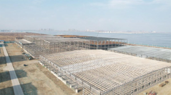 曹妃甸粮油仓储钢结构厂房